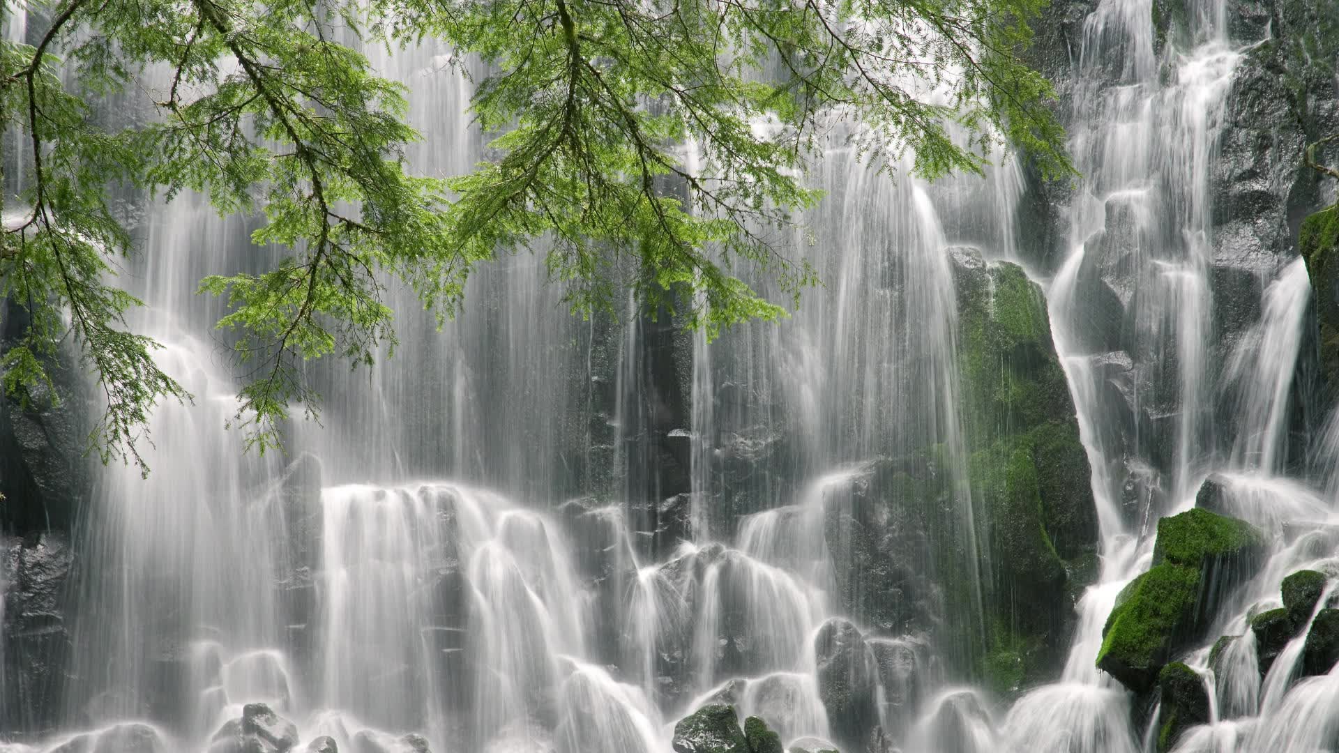 世界举重联赛：训练负荷周期化成为常规，举重项目世界纪录